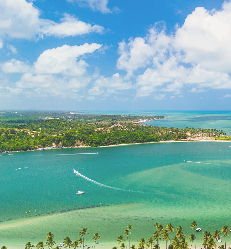 Aerial View of the Beach