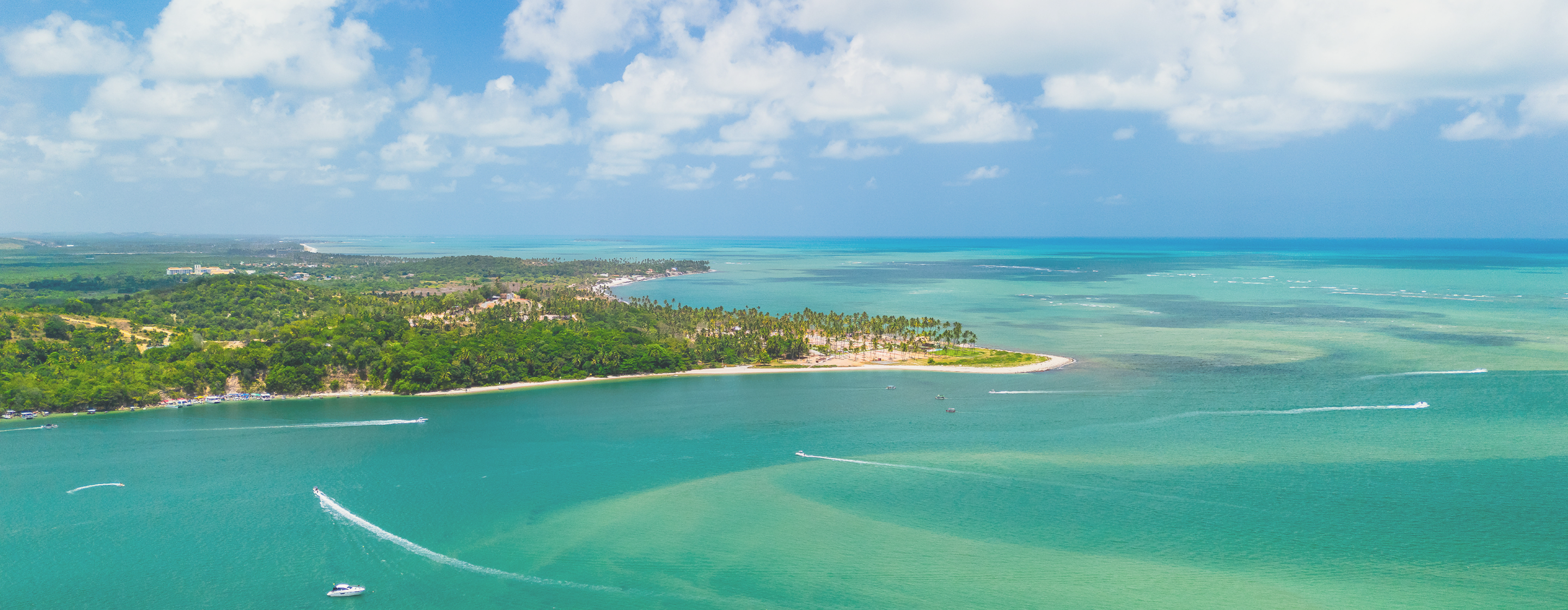 Aerial View of the Beach
