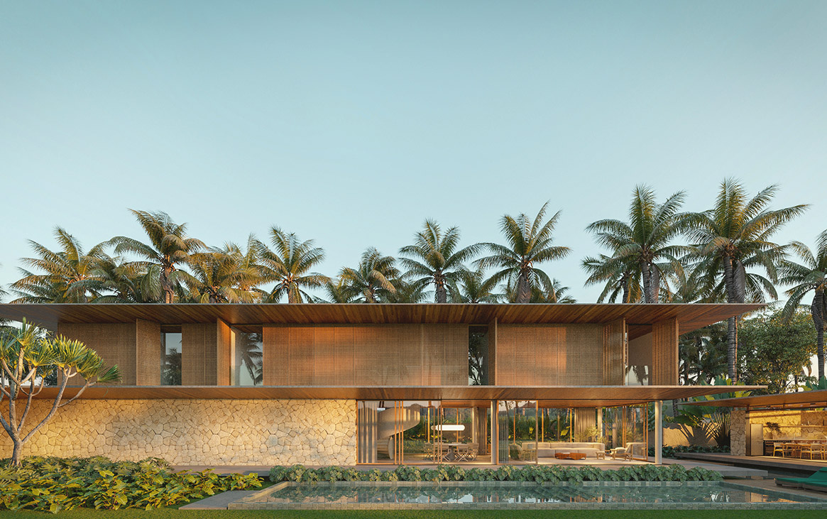3D Perspective View Houses
