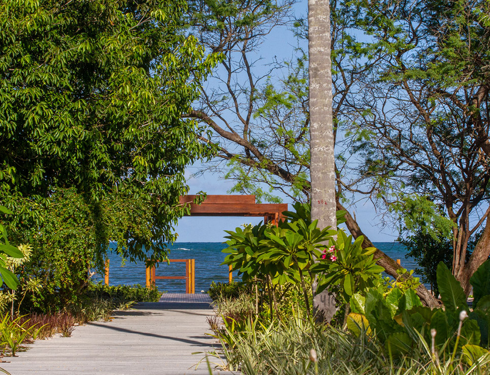 PATH TO THE SEA