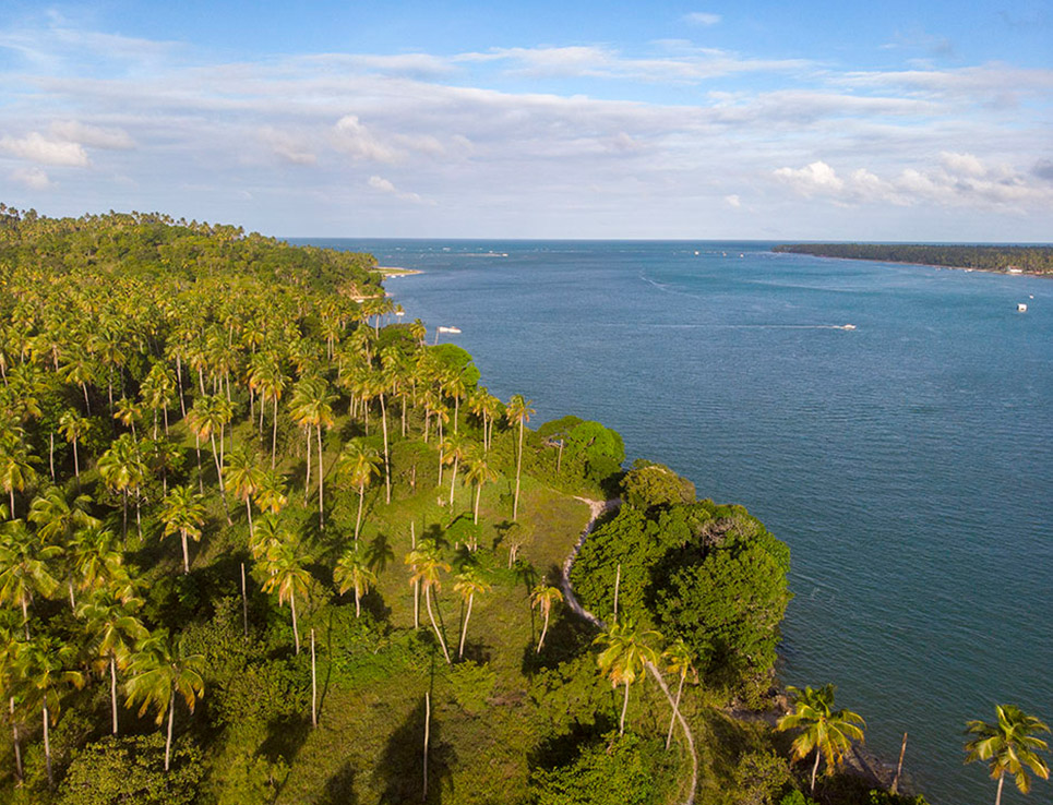 Aerial view of the river