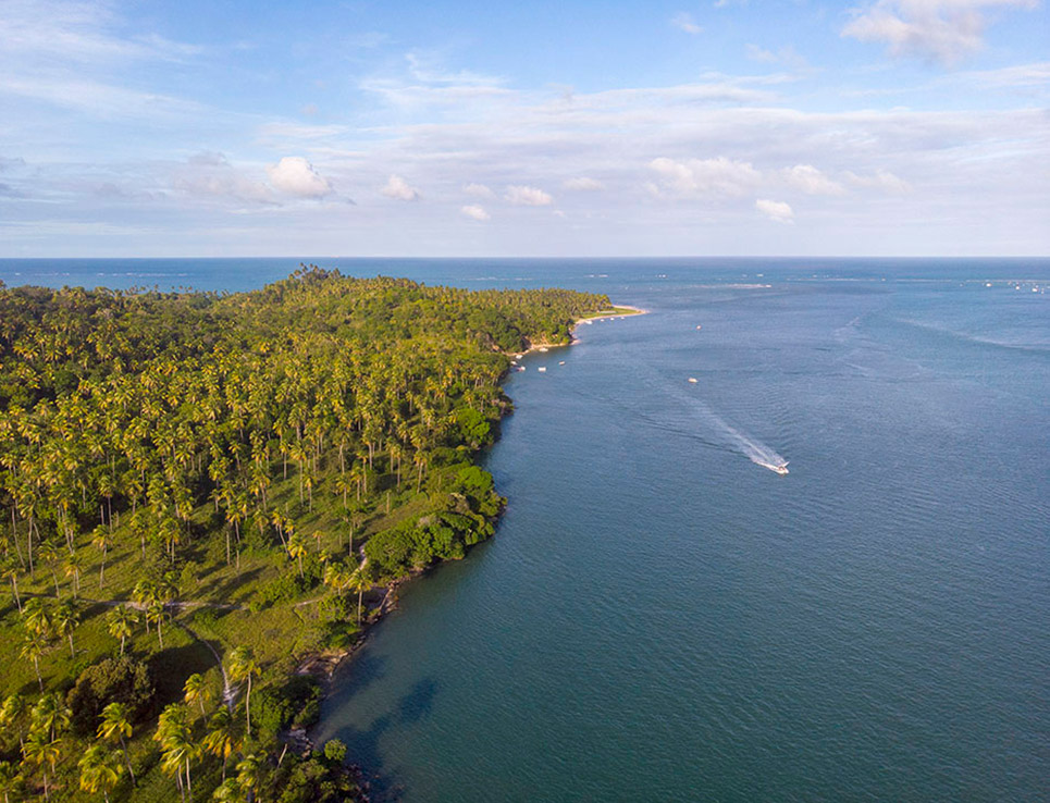 Aerial view of the river