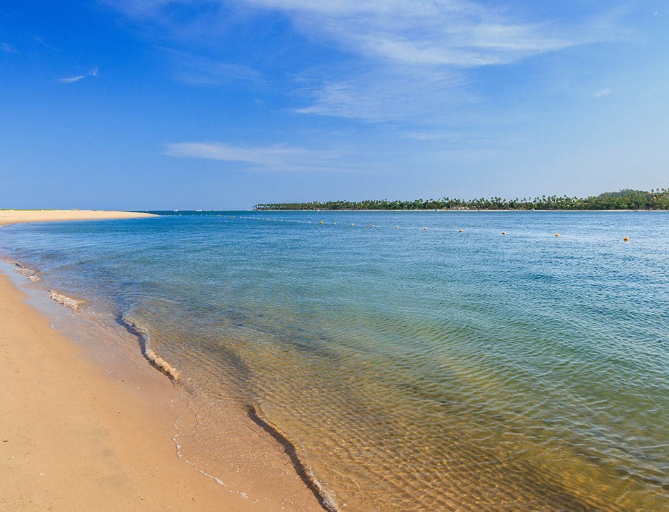 The Beach