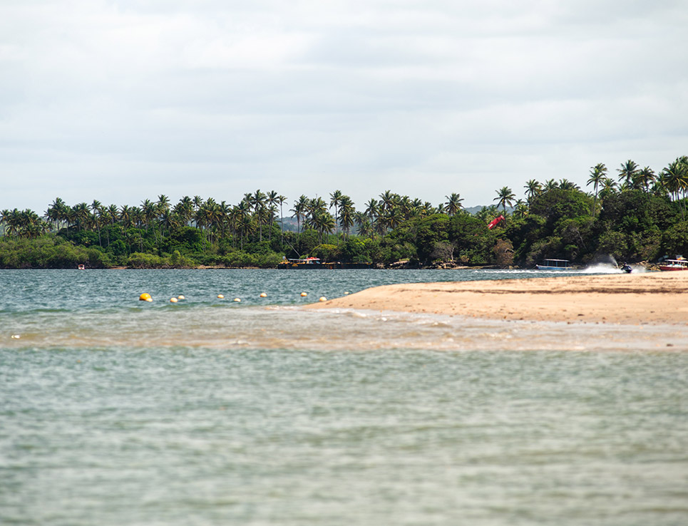 The Beach