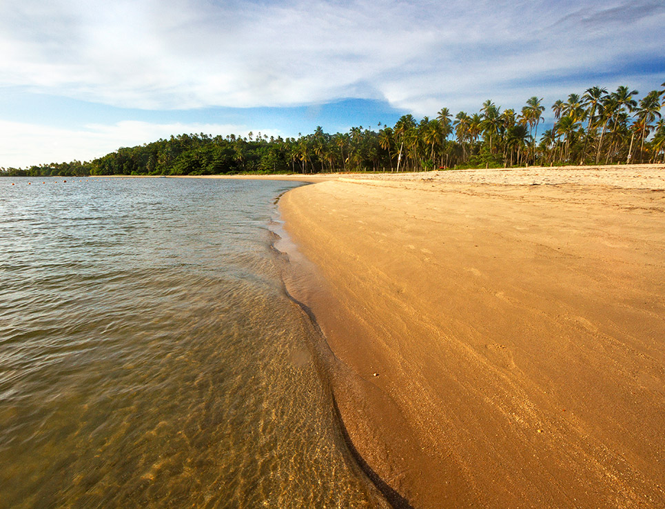The Beach