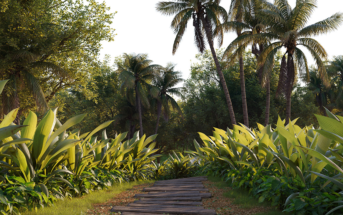 3D Perspective Way for Nature